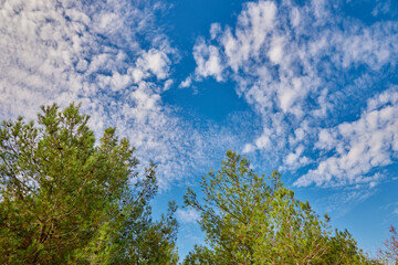 Obraz premium clear blue sky with a beautiful cloud