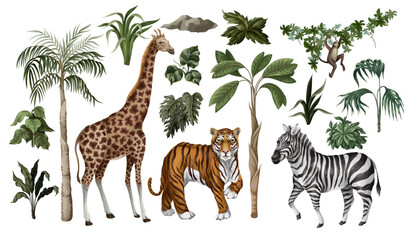 Jungle animals and trees isolated. Vector.