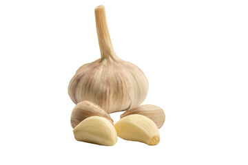 garlic cloves and garlic bulb isolated on white background, healthy eating, copy space. Healthy food. Banner, cover, mockup, for design