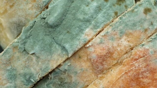 Penecilin Bilder Durchsuchen 10,834 Archivfotos, und