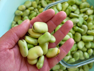 fresh broad beans, beans, benefits of broad beans for Parkinson's disease,
