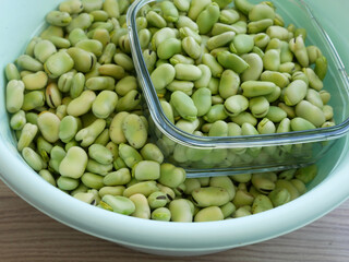 a large amount of fresh broad beans, broad beans, in a bowl,