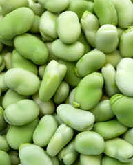 fresh broad beans, beans, benefits of broad beans for Parkinson's disease,