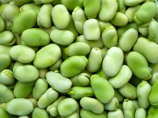 fresh broad bean, broad bean seeds, table-edible fresh broad bean,