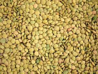 protein source, natural green dried lentils, useful dried legumes,