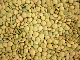 dried green lentils, edible dried lentils, close-up green dried lentils,