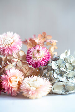 Dried straw flowers and hydrangea.