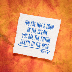 You are not a drop in the ocean. You are the entire ocean, in the drop. Inspirational quote from Rumi.