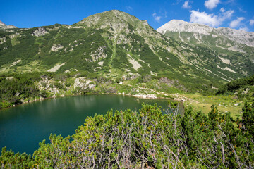 Fototapeta na wymiar Pirin Mountain near Banderitsa River, Bulgaria