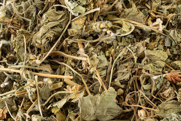Dried malva sylvestris background