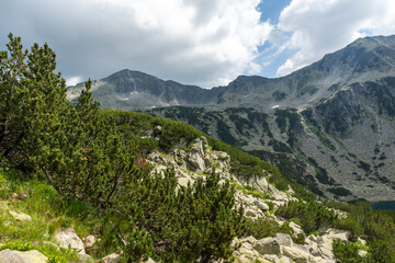 Obraz premium Pirin Mountain near Banderitsa River, Bulgaria