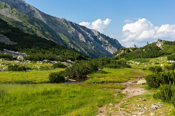 Pirin Mountain near Banderitsa River, Bulgaria