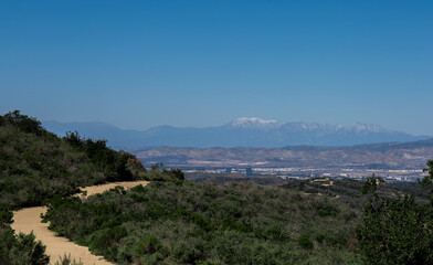 Los Angeles from the hillside