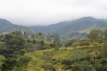 cold and cloudy mountains in colombia