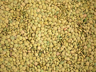 dried green lentils, edible dried lentils, close-up green dried lentils,