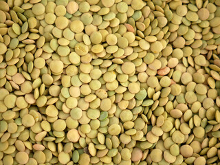 dried green lentils for table and food,