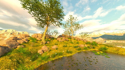 小川の流れる森林