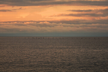 Naklejka premium sunrise over the ocean