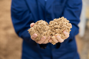 Hands of male farmworker holding handful of brewers grains on background of large pile. Organic...