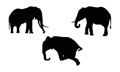 Fototapeta na wymiar Elephant vector set black and white.
