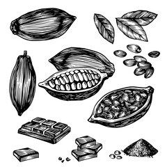 Cocoa pod, beans, leaves, plant, powder and chocolate bar. Hand drawn isolated line art, black and white vintage etching, print collection set.