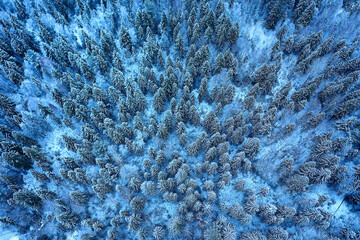 trees forest frost top view background, abstract drone view nature seasonal winter spruce
