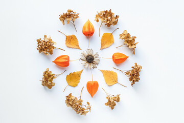 Autumn mandala flat lay, fallen leaves and dry flowers aligned in round mandala pattern on white background