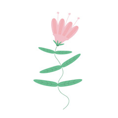 Vector image of a pink bell flower on a stem with leaves
