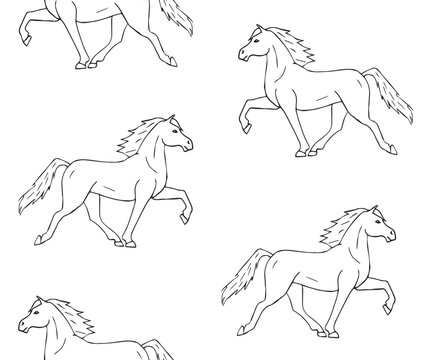Vector seamless pattern of hand drawn doodle sketch Iceland horse isolated on white background