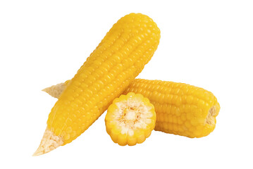 Fresh sweet corn on transparent background.