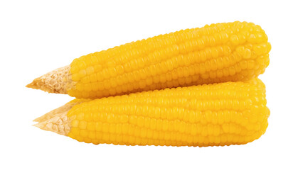 Fresh sweet corn on transparent background.