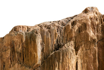 Close up petrified wood on transparent background.