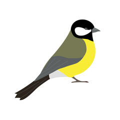 Vector flat hand drawn tit bird isolated on white background