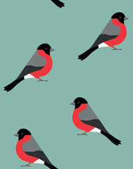Vector seamless pattern of hand drawn flat bullfinch bird isolated on green background
