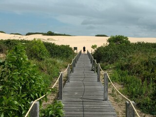 Fototapeta premium path to the beach