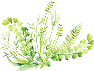 Watercolor Boho Peonies Flowers Red Plants Greenery Birds Rustic barrels Clipart for cards and posters