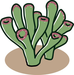 クラッスラ属のゴーラム