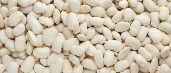 White beans as background, top view. Banner design
