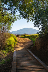 Fototapeta na wymiar Southern California Nature Landscape Series, a wooden bridge through the forest to the mountain at San Diego National Wildlife Refuge in Jamul, USA
