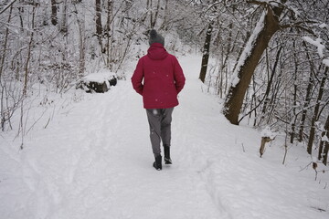 promenade dans un bois en hiver	