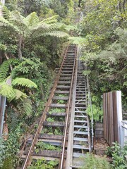 railway in the forest