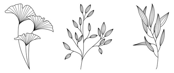 Set of hand drawn line art leaf branch vector. Botanical leaf branch collection of black white drawing contour simple style. Design illustration for prints, logos, cosmetics, poster, card, branding. © TWINS DESIGN STUDIO