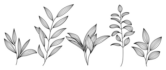 Set of hand drawn line art leaf branch vector. Botanical leaf branch collection of black white drawing contour simple style. Design illustration for prints, logos, cosmetics, poster, card, branding.