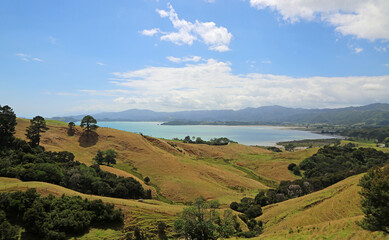Landscape with Coromandel Harbour - Coromandel Peninsula, New Zealand