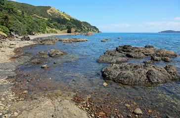 Volcanic coast of Coromandel Harbour - Coromandel Peninsula, New Zealand