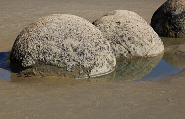 Moeraki Boulders close up, New Zealand