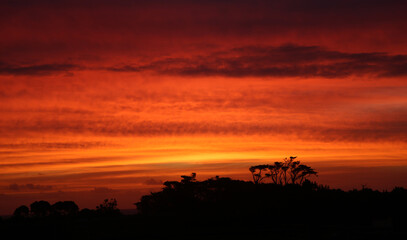 Fototapeta na wymiar Red Sunset - New Zealand
