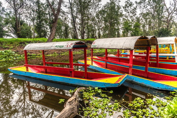 Traditional Mexican trajinera boat in Xochimilco channels and lake of Xochimilco floating in Mexico City - trajineras boats 