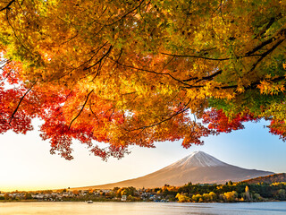 山梨県の秋の河口湖は見事な紅葉と富士山のコントラスト