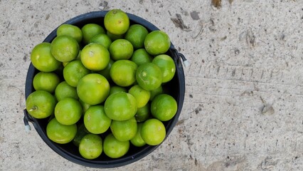 Freshly harvested lemons in a black basket From a farmer's garden in Thailand.